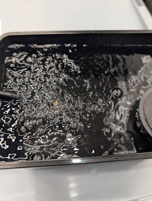 Criminal Seeds x Snowball x Spritzer. Week 0 - Swimming neoprene boat.