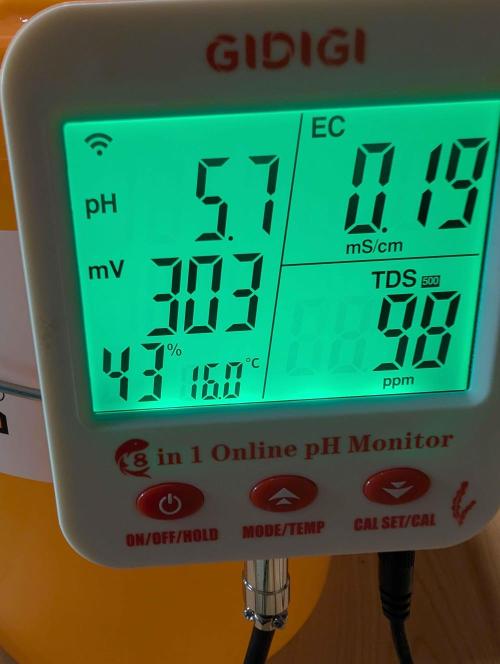 Lemon Cherry Ice Cream x Criminal Seeds. Week 0