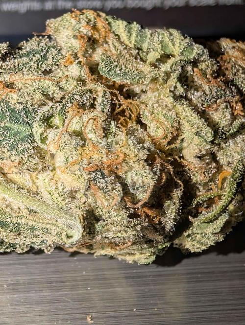 Girl Scout Cookies — Barneys Farm. Week 21