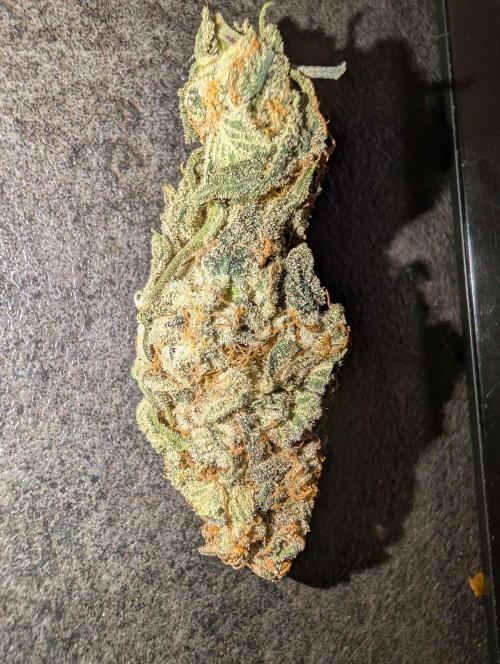 Girl Scout Cookies — Barneys Farm. Week 21