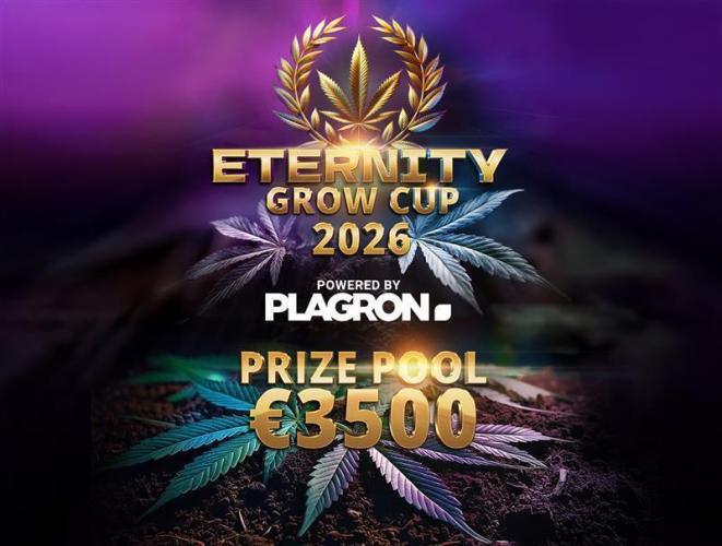 Sticky Broccoli DWC x Eternity Cup 2026. Week 0