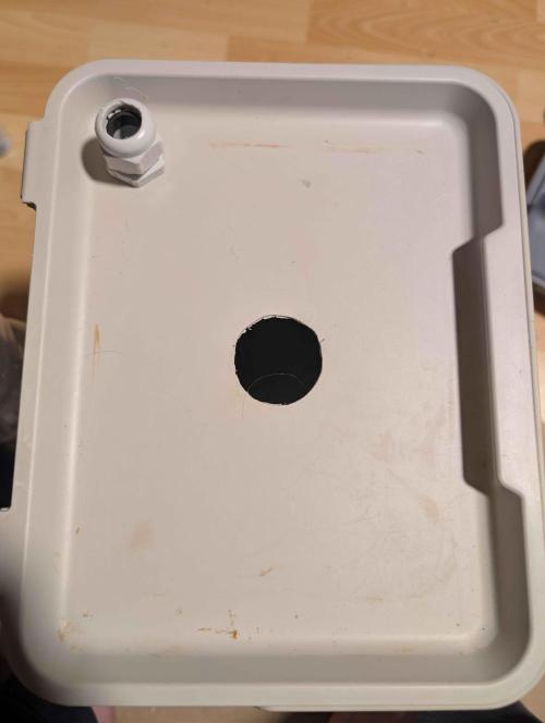 Sticky Broccoli DWC x Eternity Cup 2026. Week 0