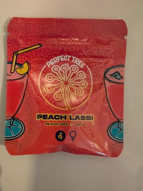 Peach Lassi x Mary Jane 2026. Week 0 - Pack front