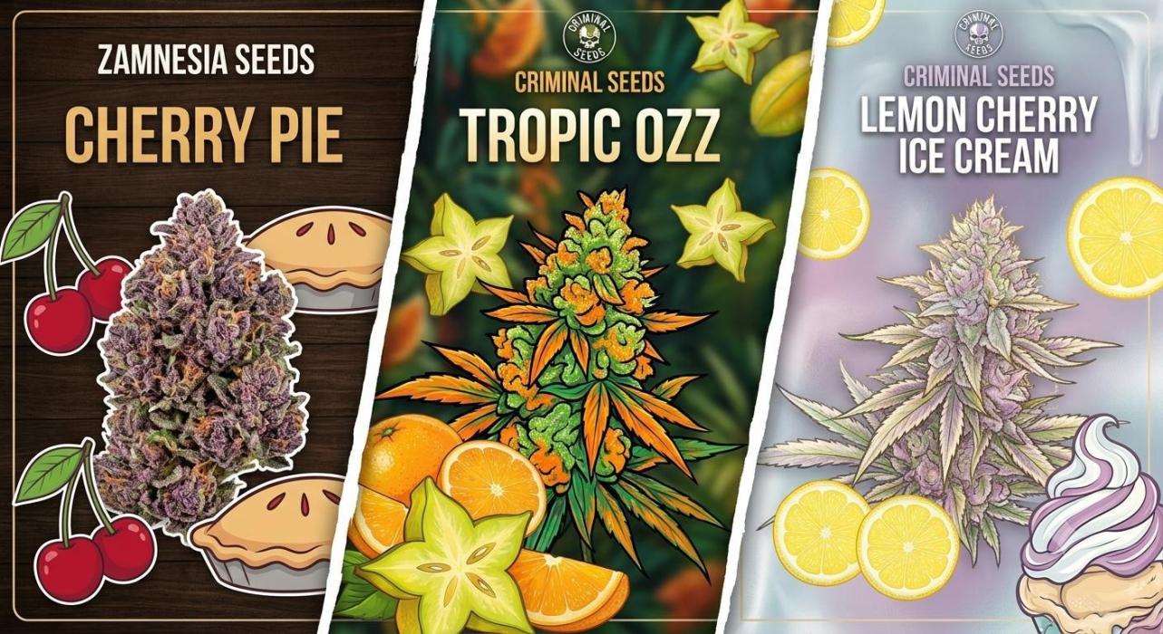 Cherry Pie, Tropical Ozz & Ice Cream 🚀. Week 0