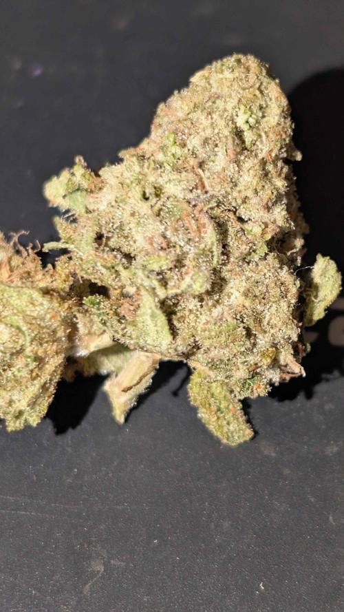 RDWC Cuts x The White Sweet Candy OG One. Week 11