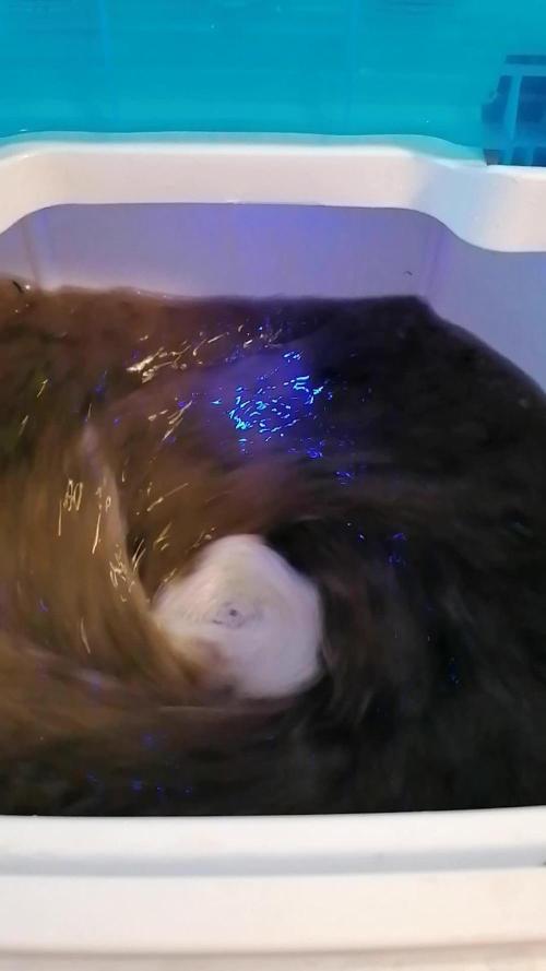 Nectar Drip (Zamnesia&TICAL)