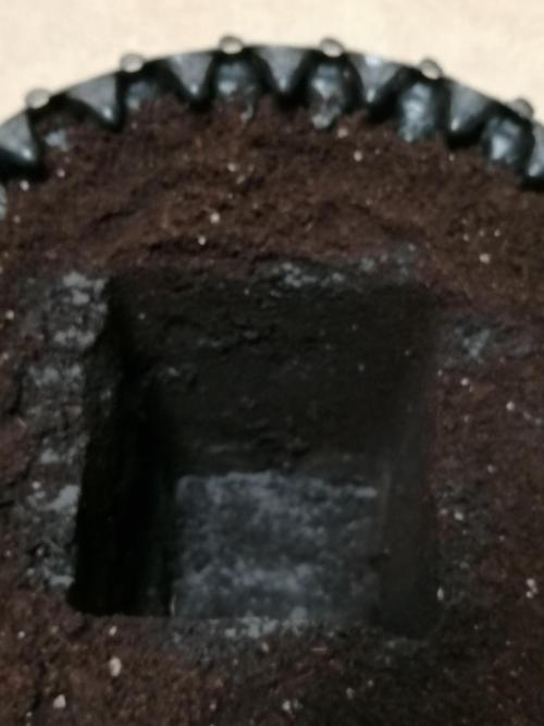 Die nächste Kirsche. Week 3 - Etwas Myko