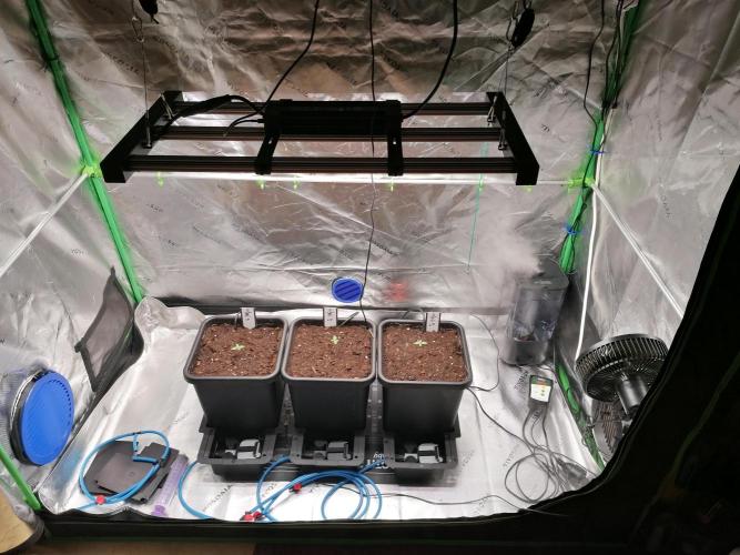 FastBud - Papayton -. Week 1