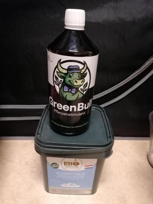 FastBud - Papayton -. Week 0 - Alles was in dem Run benutzt wird.
Wurmhumus und Melasse für den Tee fehlen. 