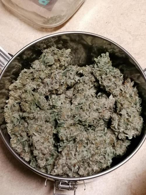 Cherry Mac Muffin. Week 14