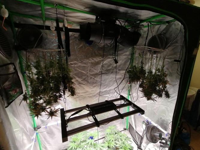 Sweet Berry's. Week 33 - Leider kein anderer Platz.
Ich hoffe ich hol mir nix ins Zelt🙏🙏🙏 
