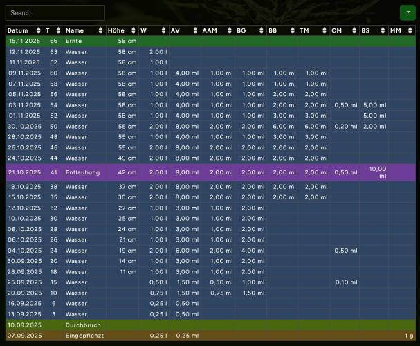 Beloved Zweetness. Week 10 - Day 66