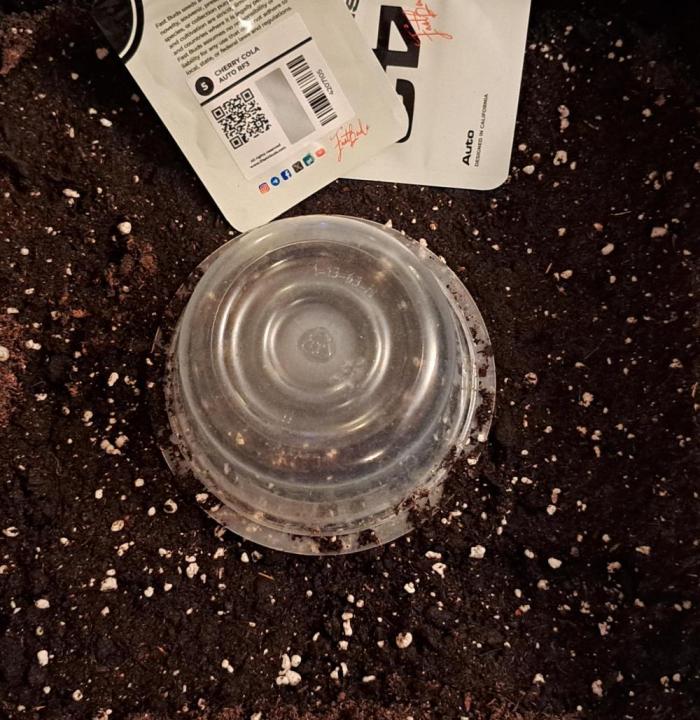 Coke for dessert. Week 0 - Day 0