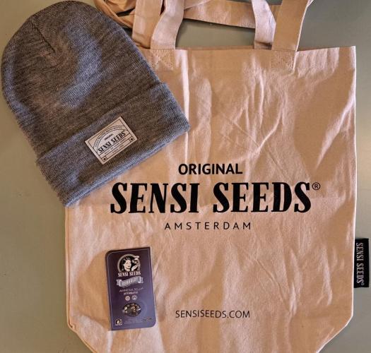 Jelly between Venus and Mars. Week 0 - A little present has arrived :-)