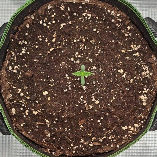 Permanent marker on Mars. Week 1 - Day 3