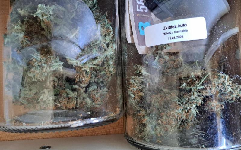 Fruity Skittlez for Saturn. Week 10 - Day 73