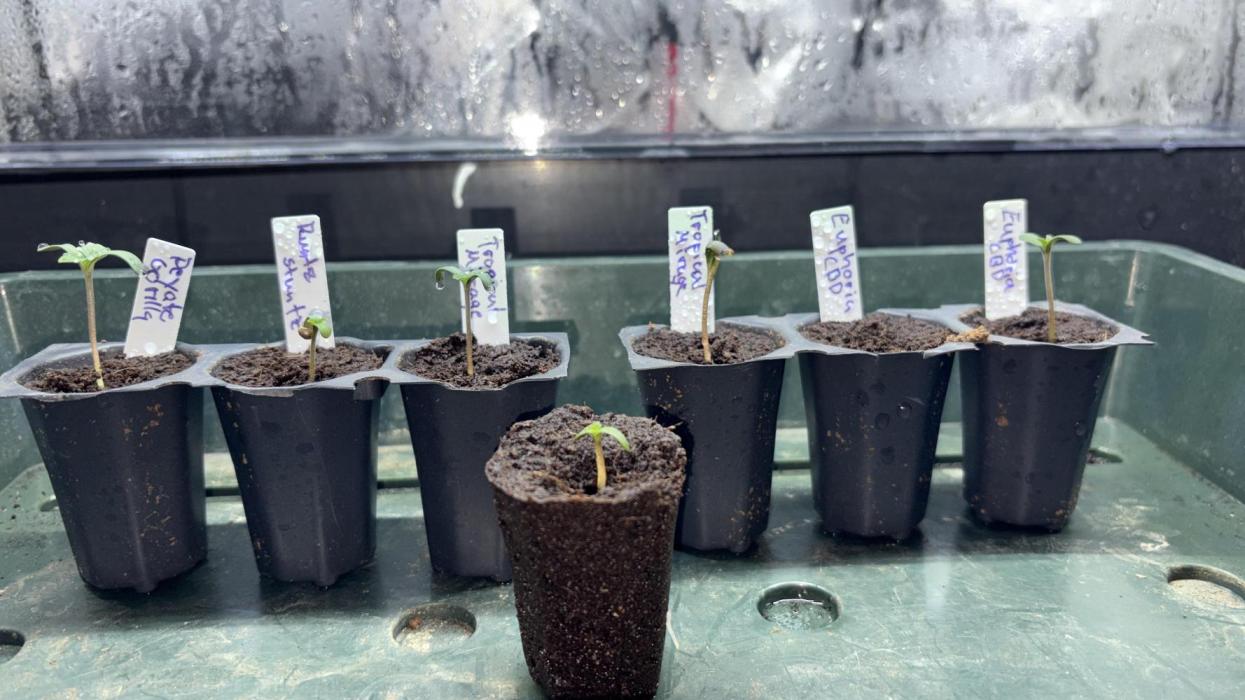 Winter 25/26. Week 0