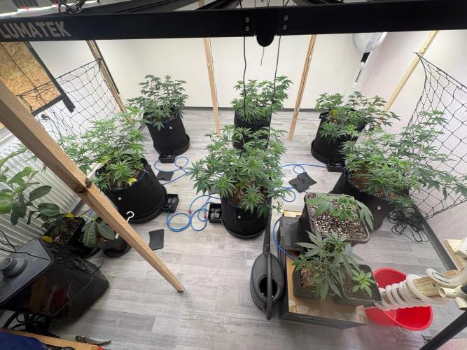 P2500. Week 6