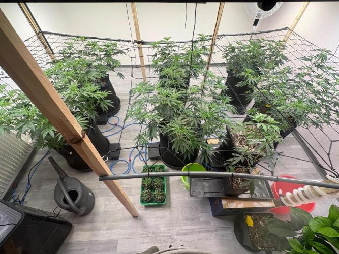 P2500. Week 7