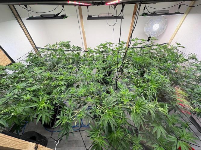 P2500. Week 1