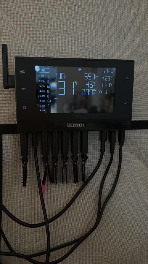 Sommergrow 2026. Week 5