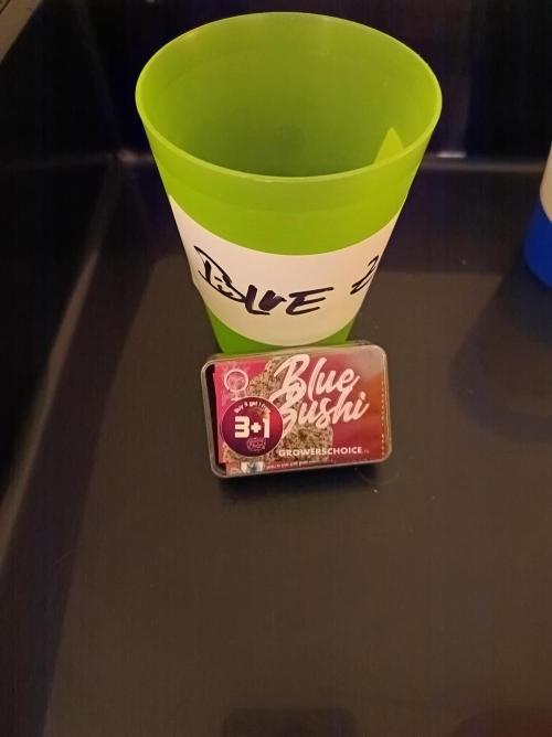 Blue Zushi🍣⛩️. Week 0