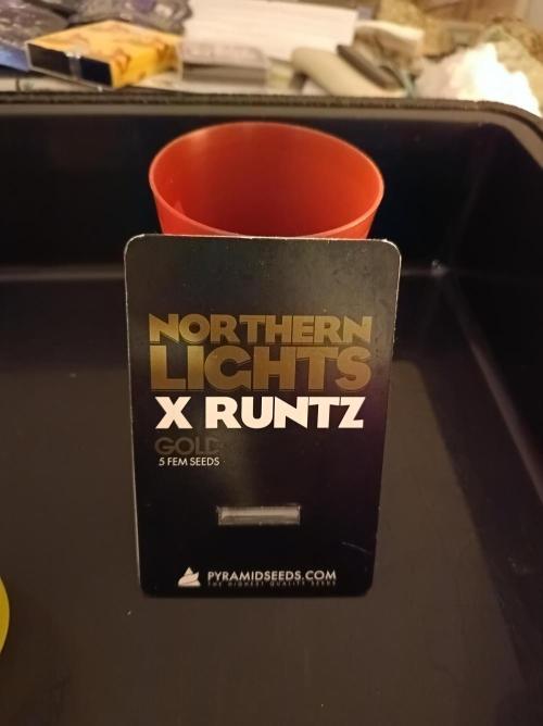 NL x Runtz🌌. Week 0