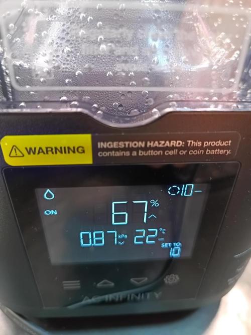 Any Day⛽️🍇🍋. Week 2