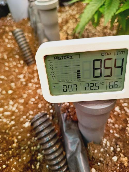 Blue Zushi🍣⛩️. Week 5 - A bit high