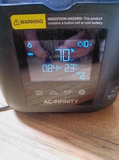 NL x Runtz🌌. Week 5