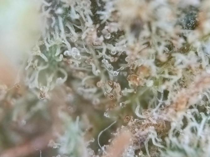 Epic Buzz🚀. Week 19