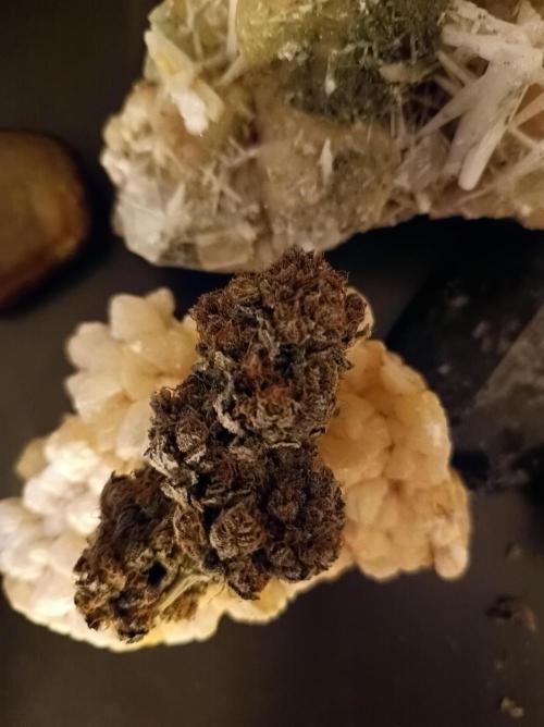 Epic Buzz🚀. Week 19