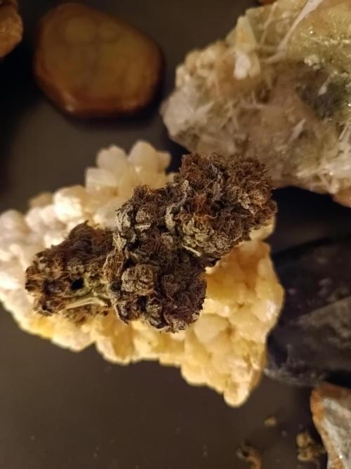 Epic Buzz🚀. Week 19