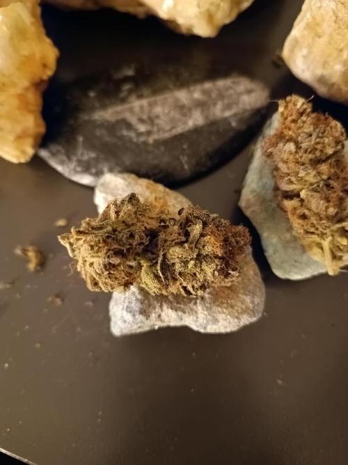 Epic Buzz🚀. Week 19