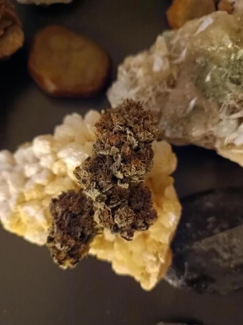 Epic Buzz🚀. Week 19