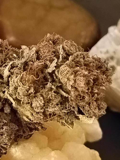 Epic Buzz🚀. Week 19