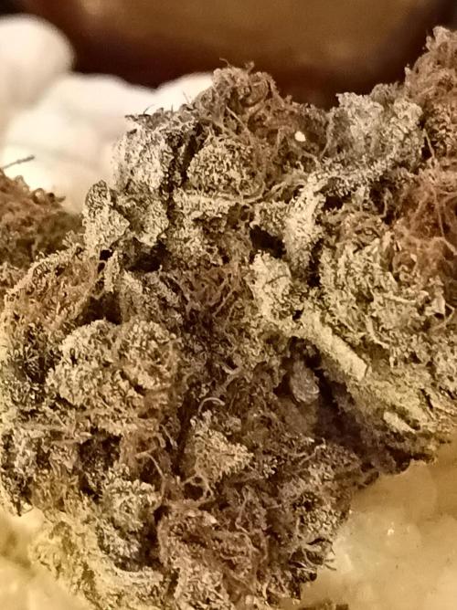 Epic Buzz🚀. Week 19