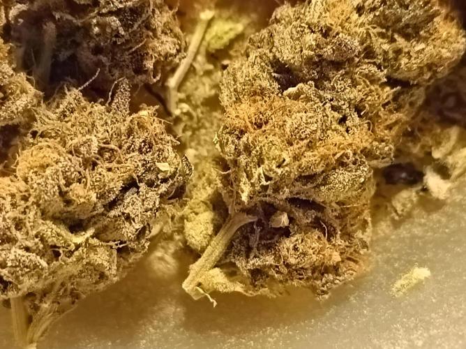 Epic Buzz🚀. Week 19