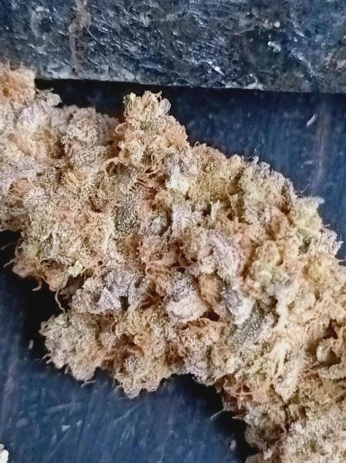 Pink Glitterbomb💣. Week 19