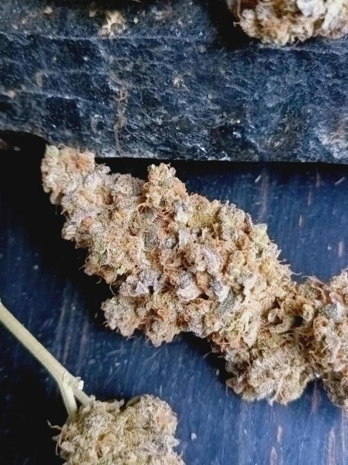 Pink Glitterbomb💣. Week 19