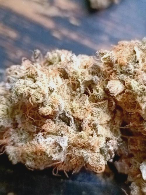 Pink Glitterbomb💣. Week 19