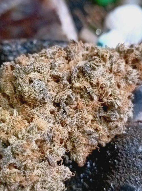 Pink Glitterbomb💣. Week 19