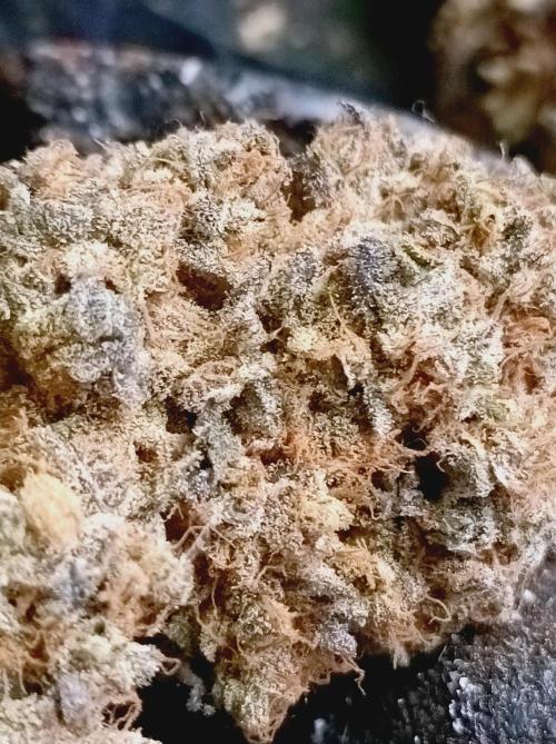 Pink Glitterbomb💣. Week 19