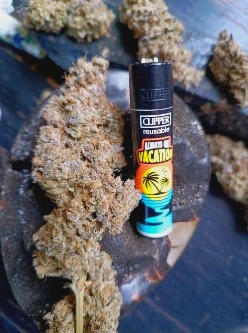 Pink Glitterbomb💣. Week 19