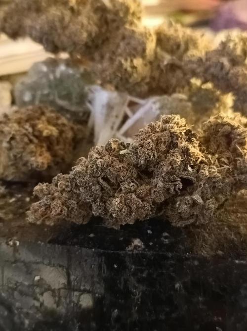 Pink Glitterbomb💣. Week 19