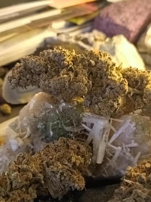 Pink Glitterbomb💣. Week 19