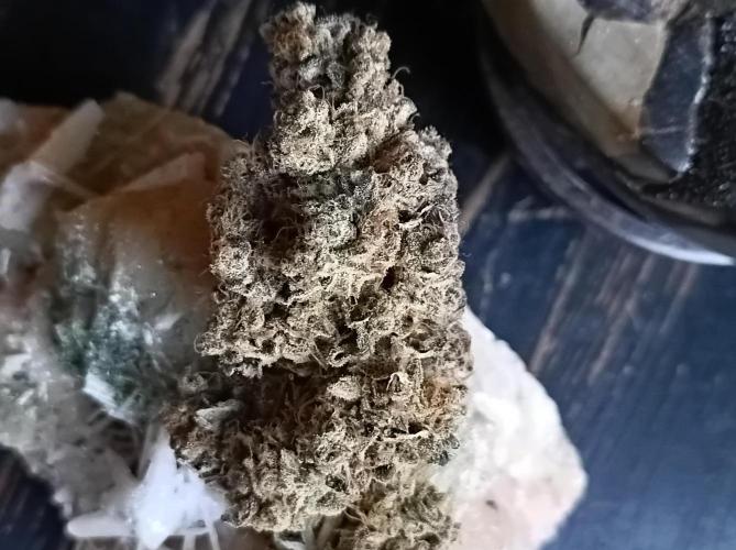 Pink Glitterbomb💣. Week 19