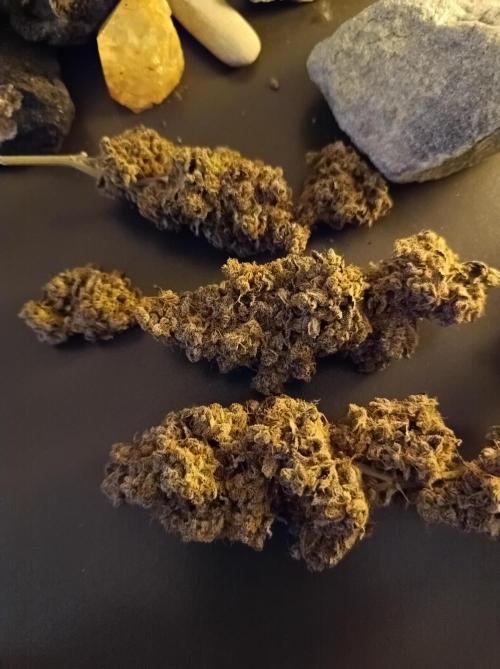 Pink Glitterbomb💣. Week 19