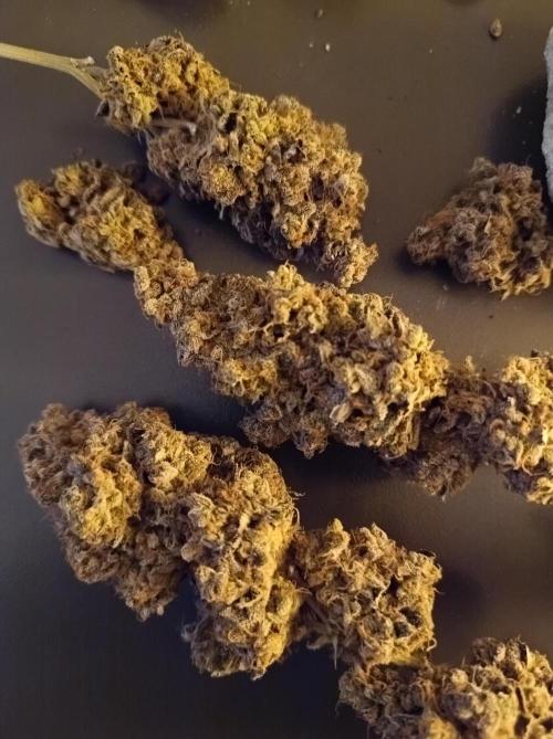 Pink Glitterbomb💣. Week 19