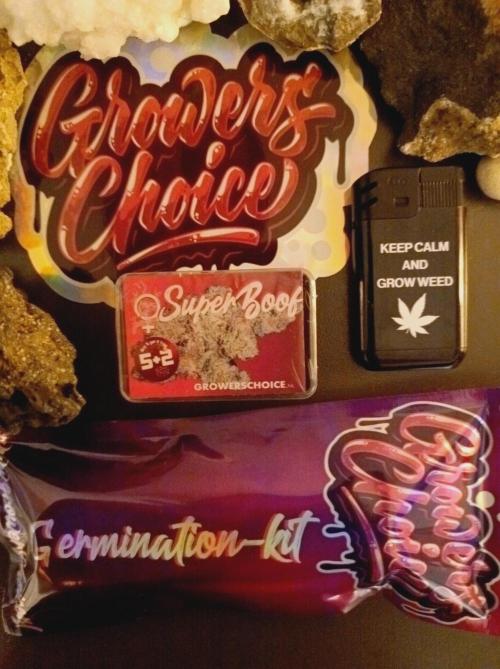 Super Boof 🍒🍪GC. Week 0